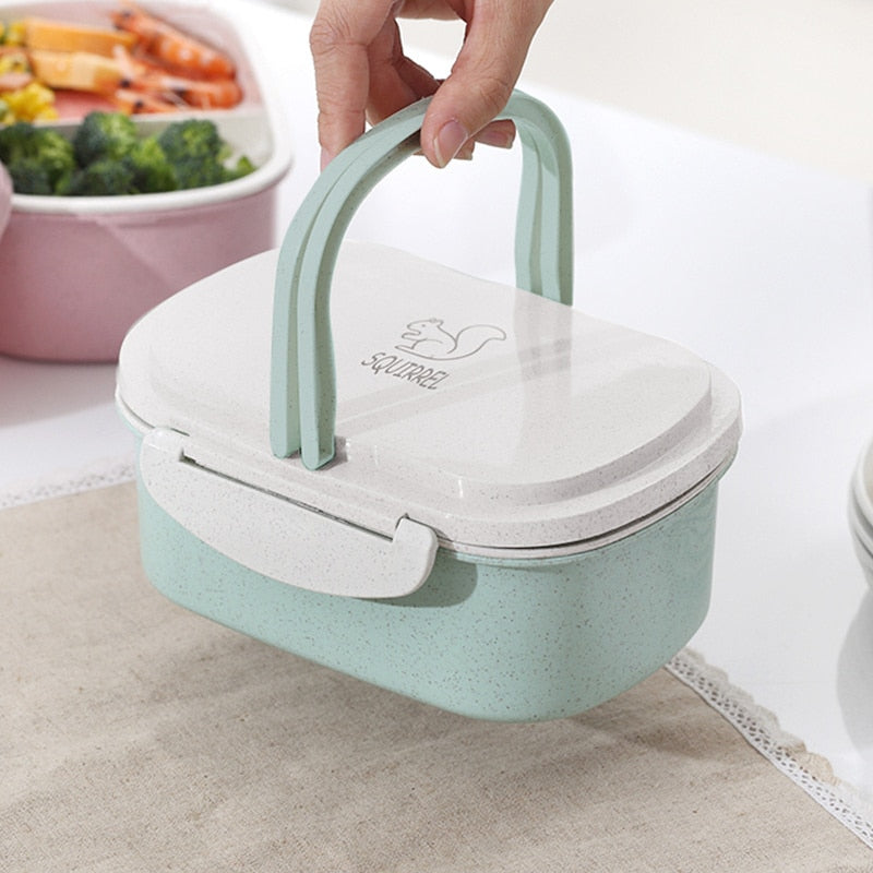 Portable Healthy Material Lunch Box 2 Layer