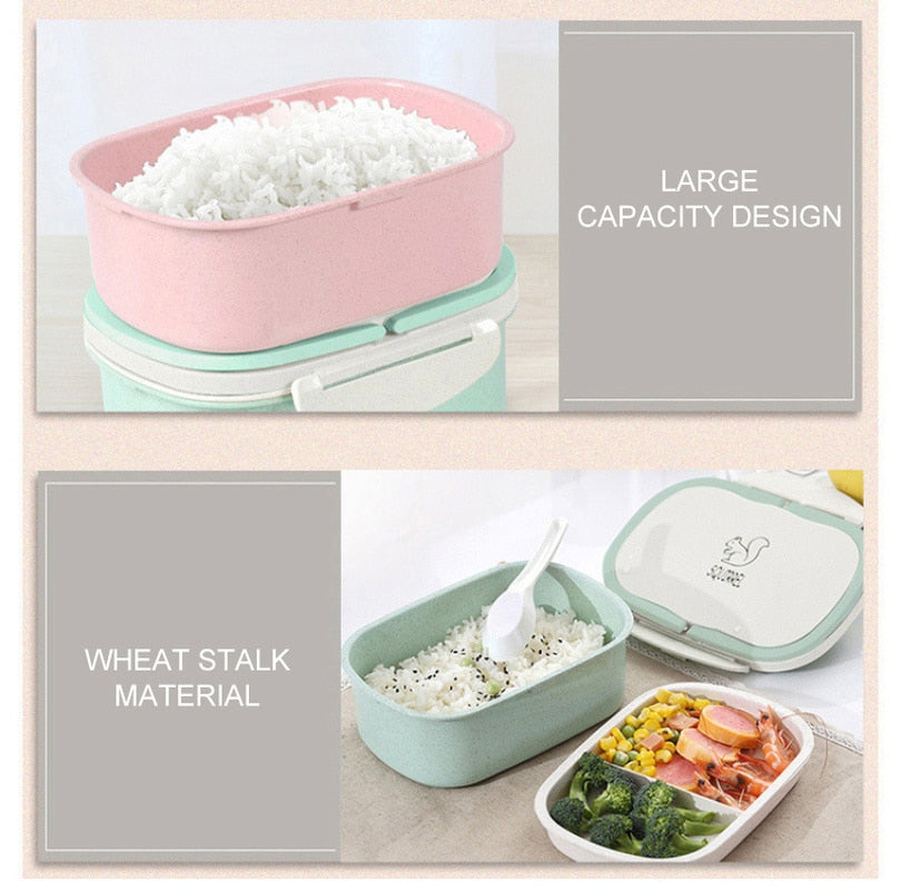 Portable Healthy Material Lunch Box 2 Layer