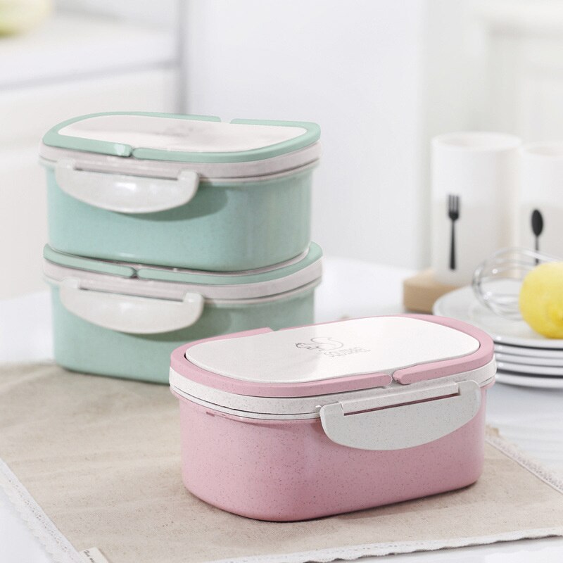 Portable Healthy Material Lunch Box 2 Layer