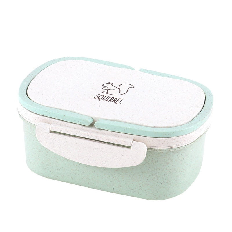 Portable Healthy Material Lunch Box 2 Layer