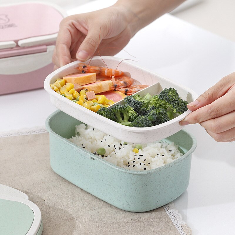 Portable Healthy Material Lunch Box 2 Layer