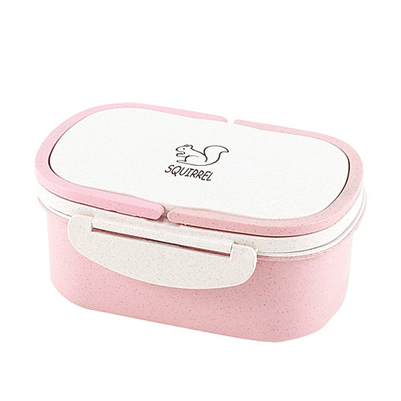 Portable Healthy Material Lunch Box 2 Layer